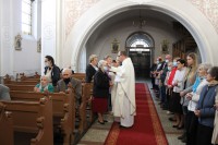  img_6262.jpg 